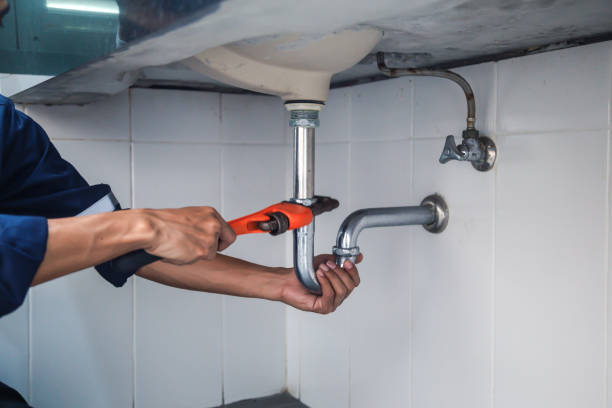 Best Clogged Drain Plumber  in Deatsville, AL